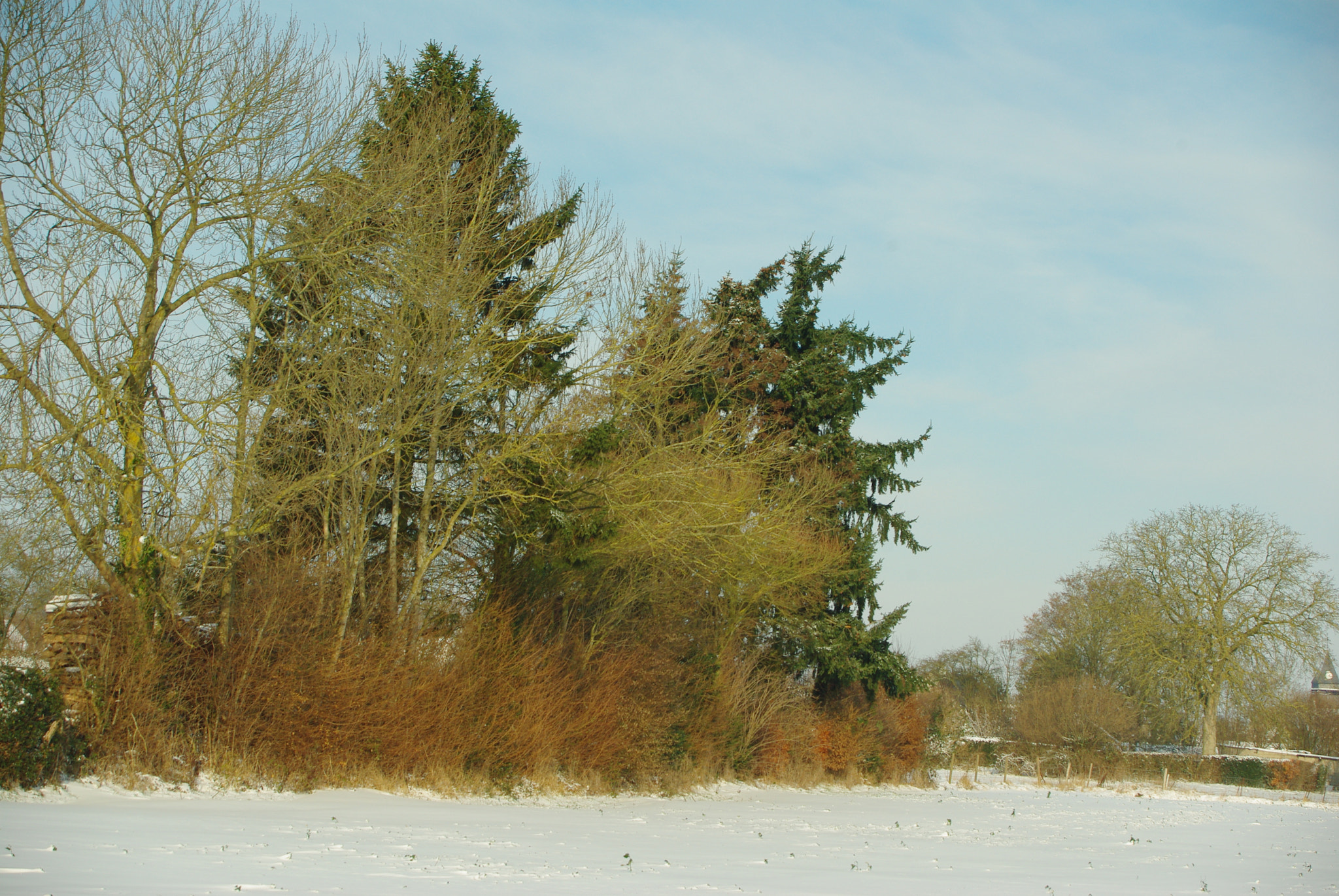 Pentax K200D + Sigma 18-50mm F3.5-5.6 DC sample photo. Winter landscape photography
