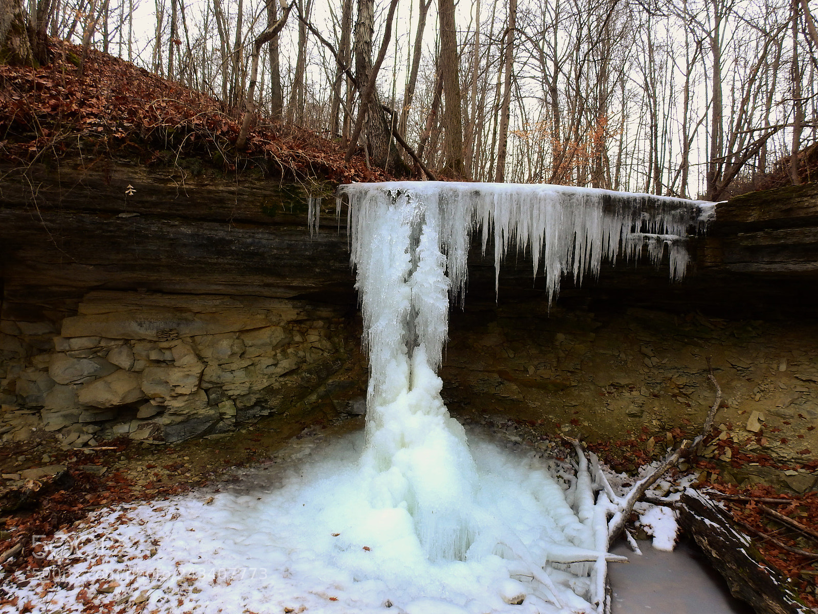Nikon Coolpix P900 sample photo. Frozen photography