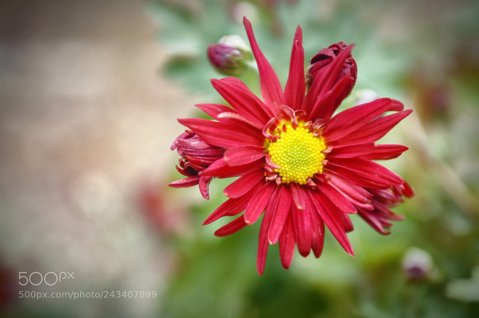 Nikon D90 sample photo. ... photography