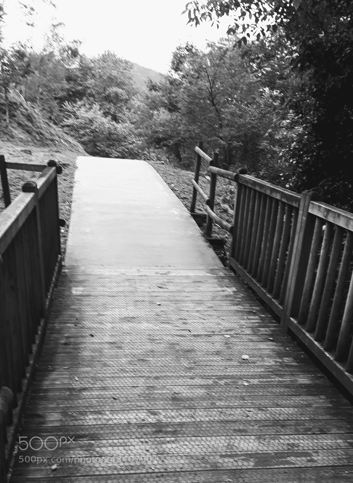 Samsung Galaxy S5 Neo sample photo. Wooden bridge photography
