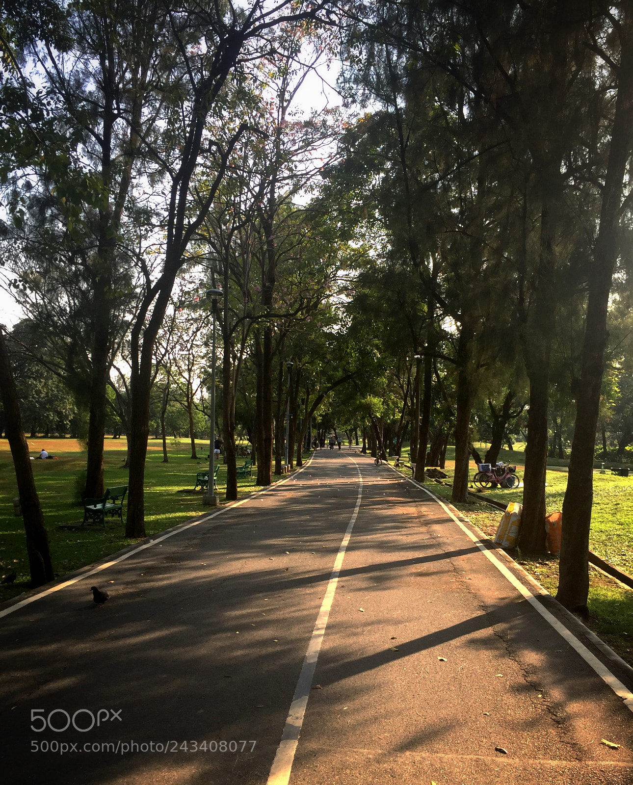 Apple iPhone 6 sample photo. Long way to go:) photography