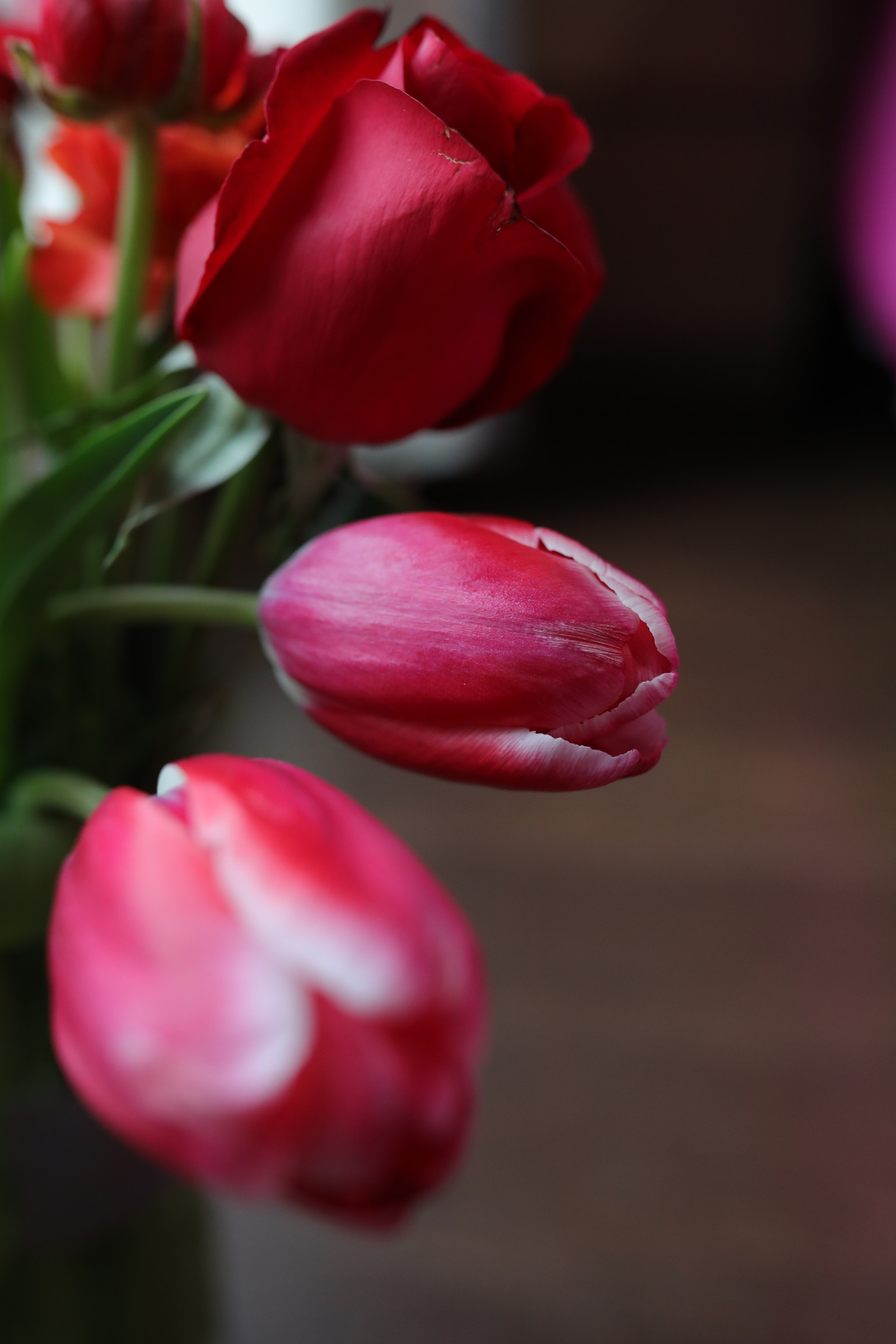 Canon EF 35mm F1.4L II USM sample photo. Waiting photography