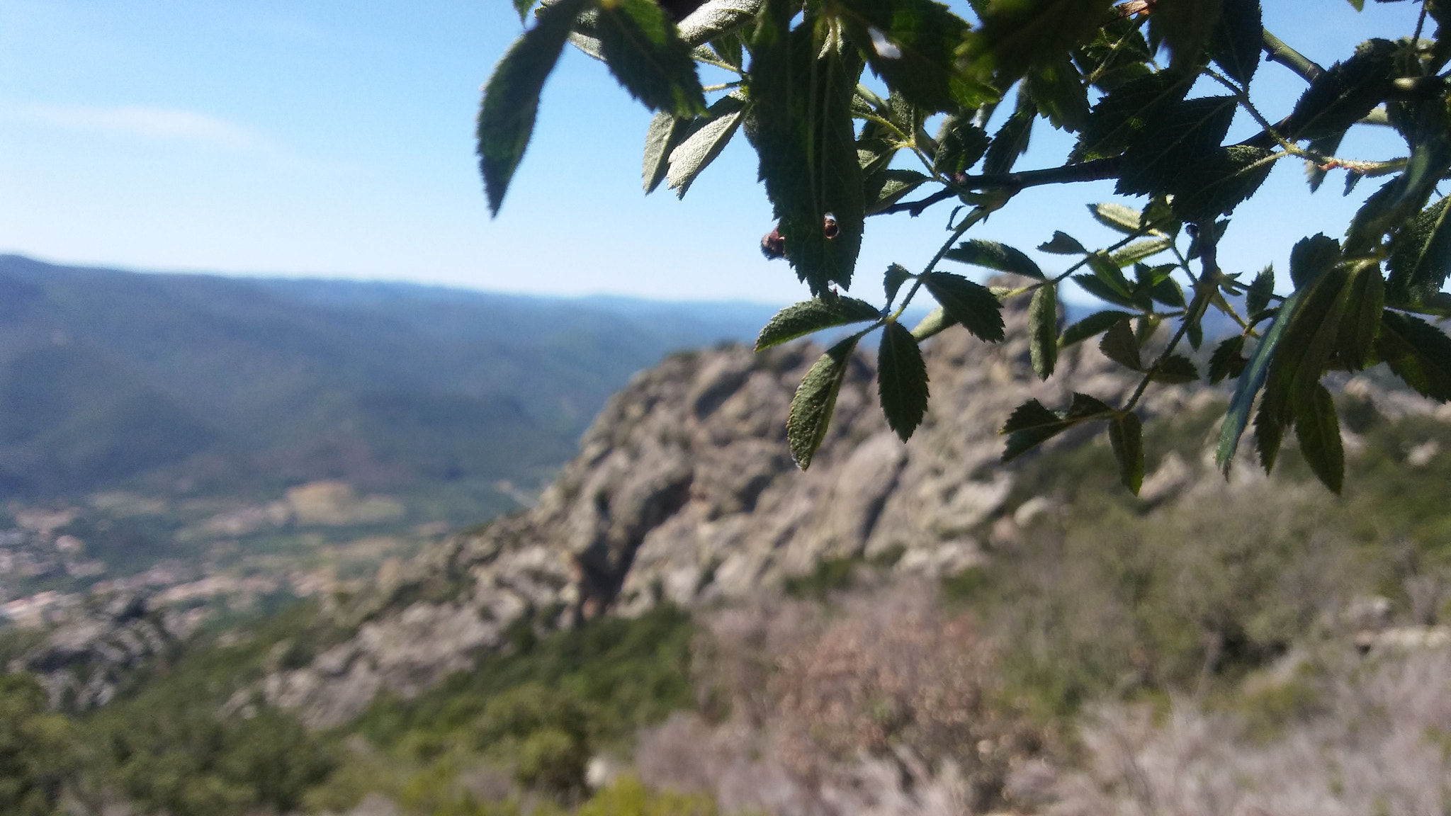 LG K10 sample photo. Landscape photography
