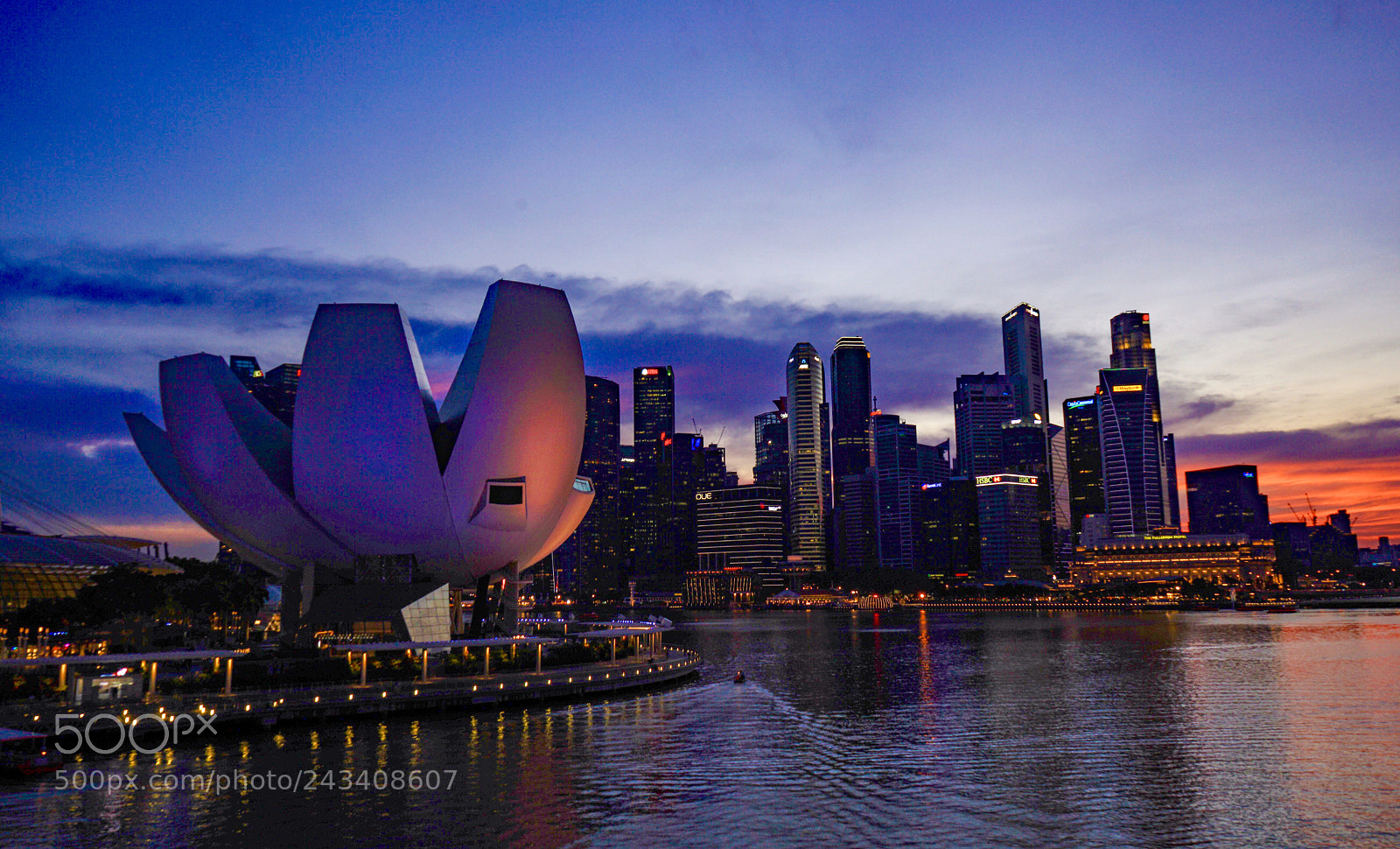 Sony a7 II sample photo. Art science museum photography