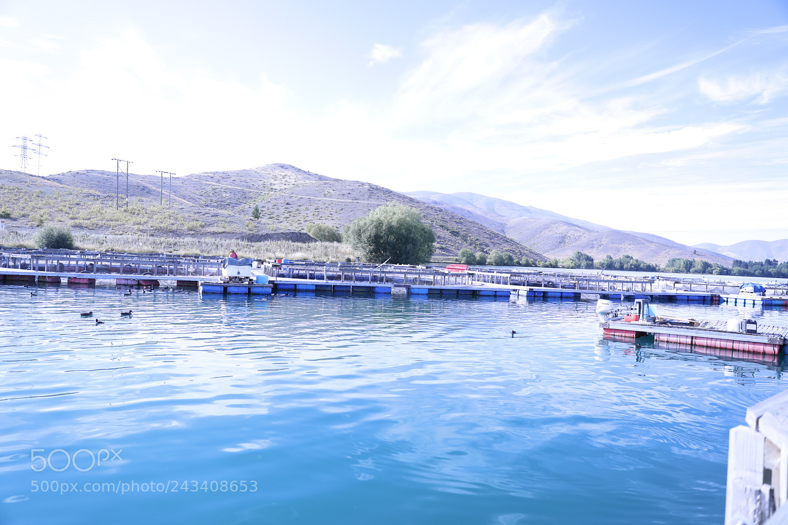 Canon EF 24-70mm F2.8L II USM sample photo. Untitled photography