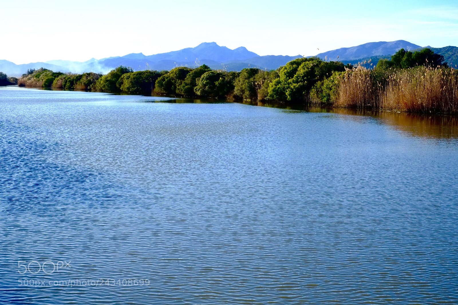 Fujifilm X-E1 sample photo. Untitled photography