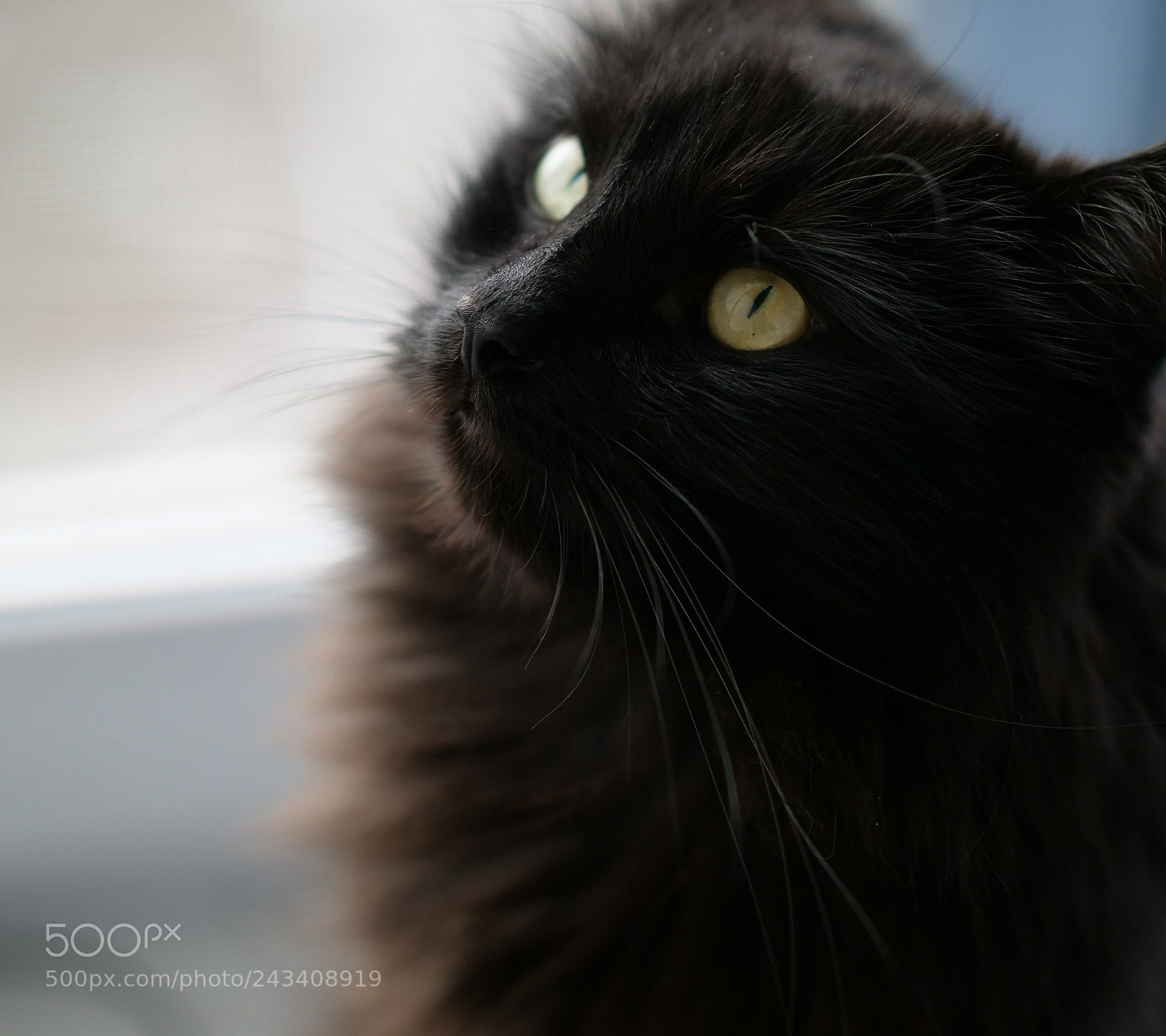 Panasonic Lumix DC-GH5 sample photo. Untitled photography