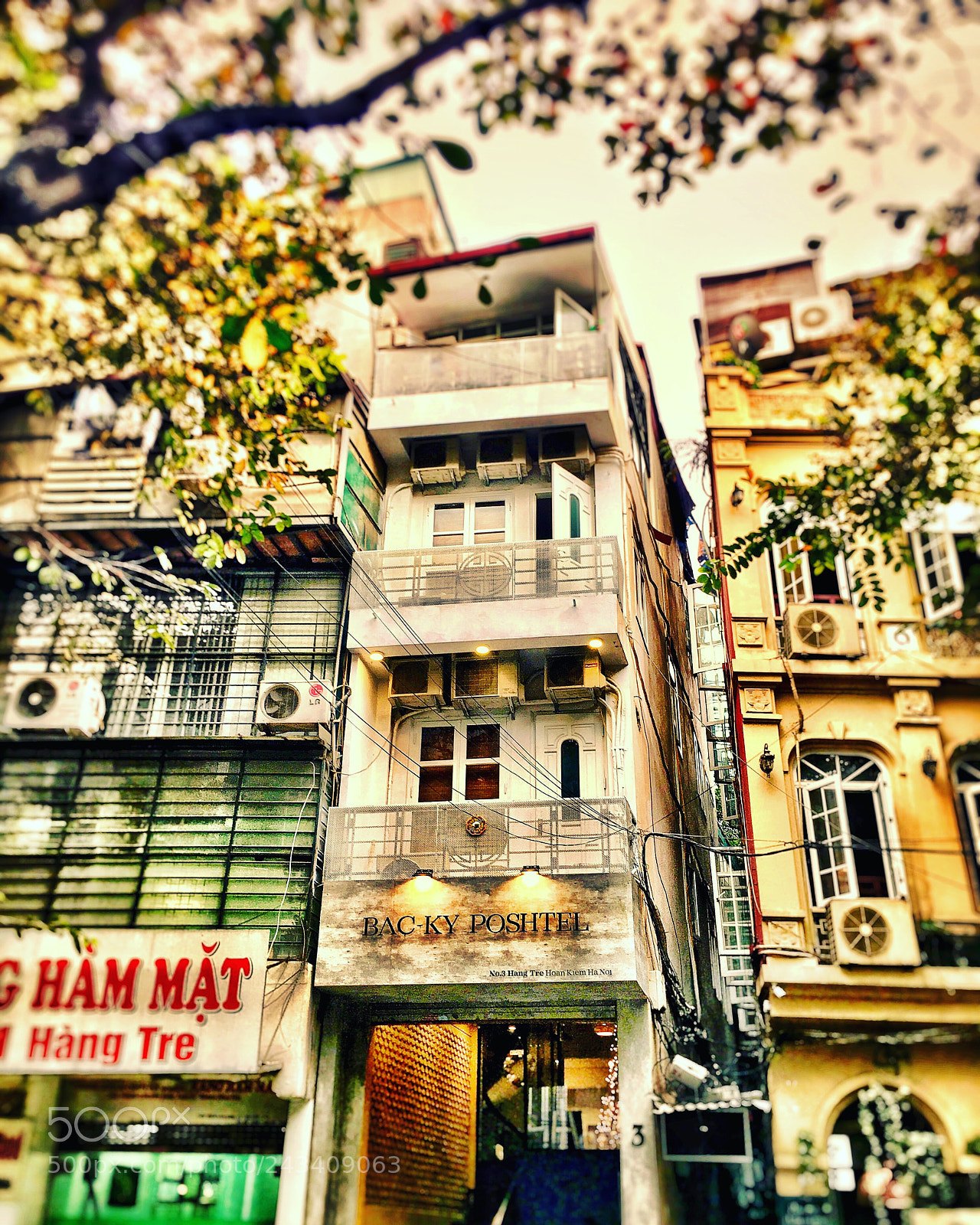 Apple iPhone 6s Plus sample photo. Fall in love with photography