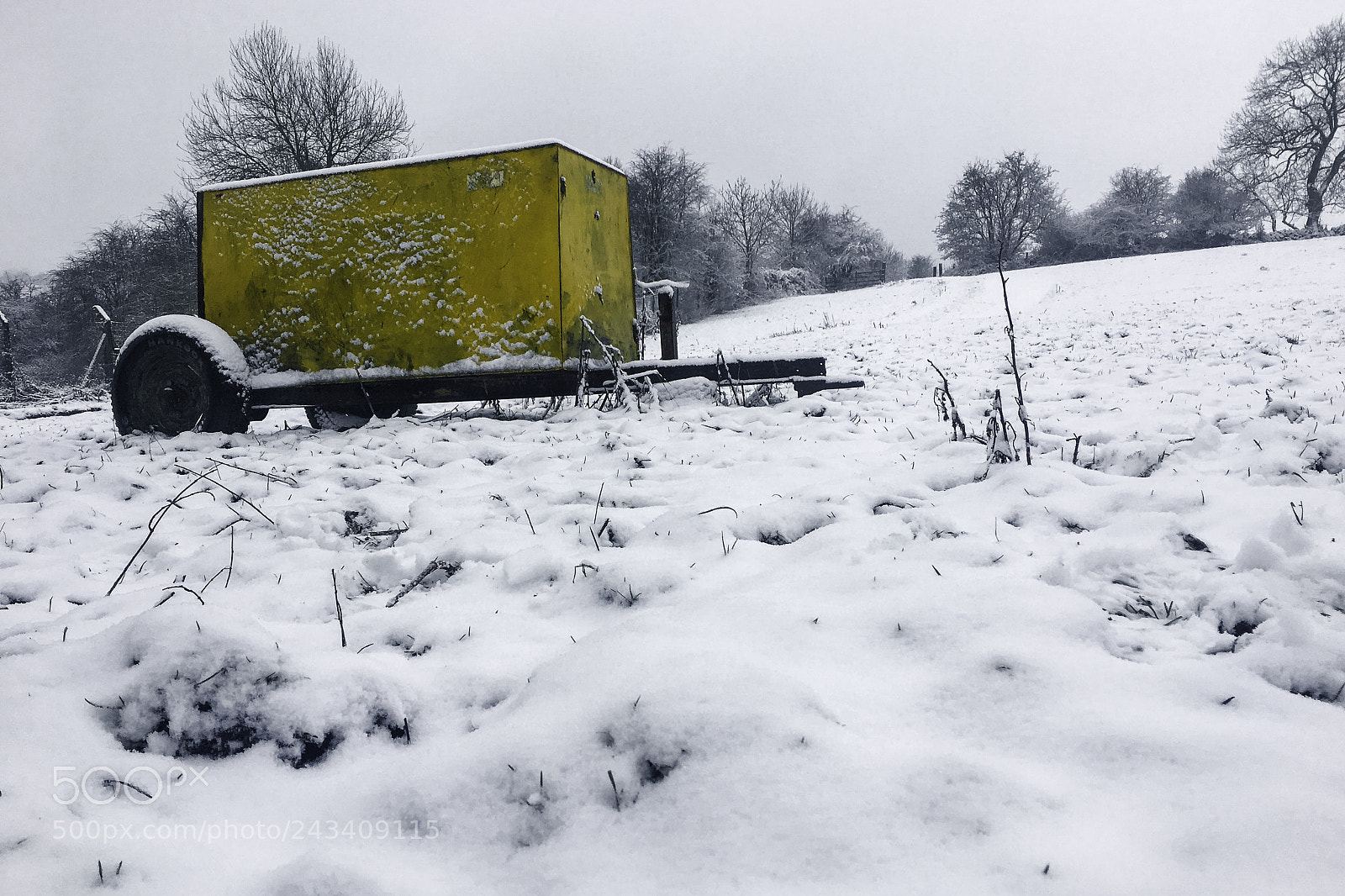 Apple iPhone 6s sample photo. Yellow in the snow photography