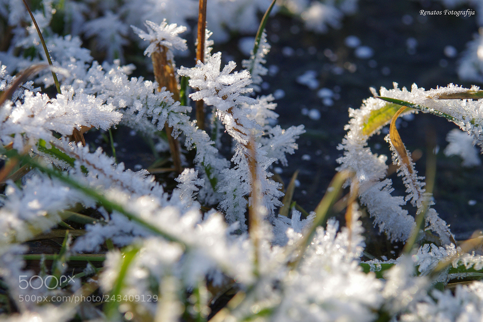 Pentax K-5 sample photo. Winter photography