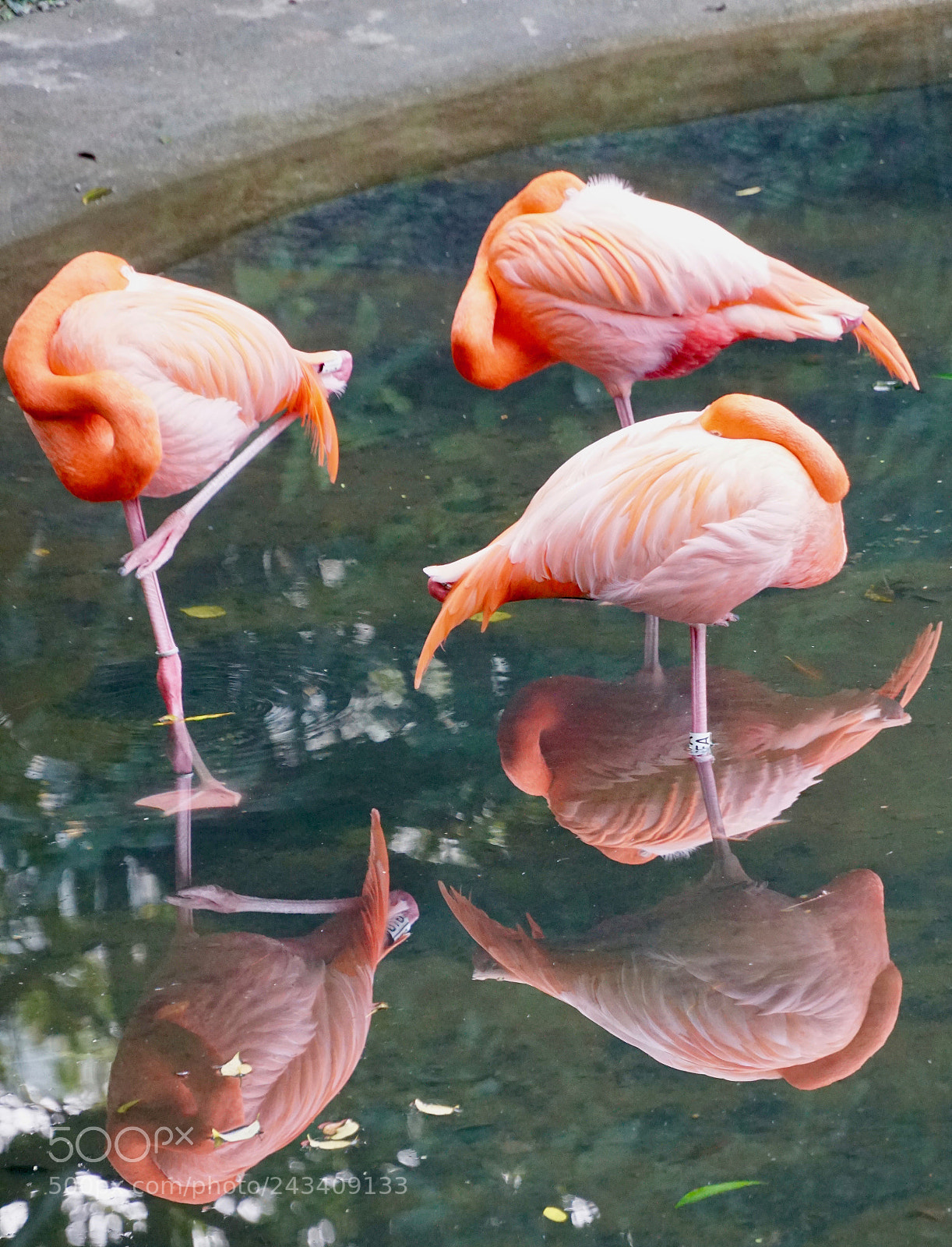 Sony a6300 sample photo. Three of us photography