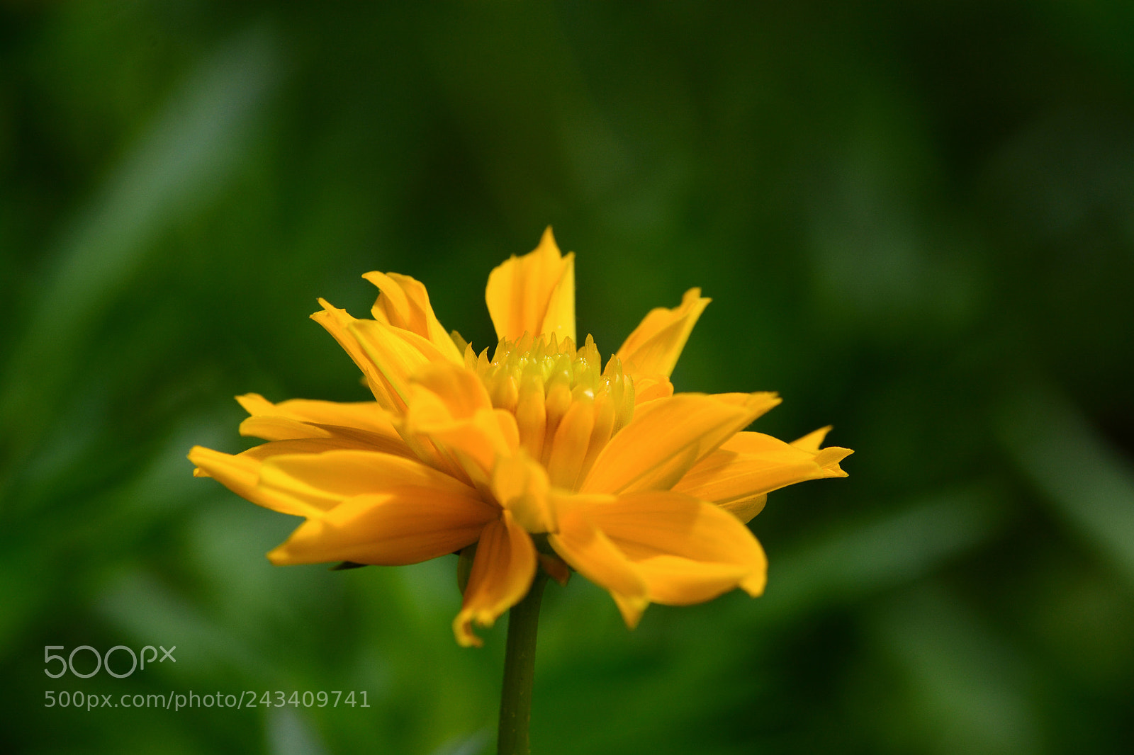 Nikon D7100 sample photo. Untitled photography