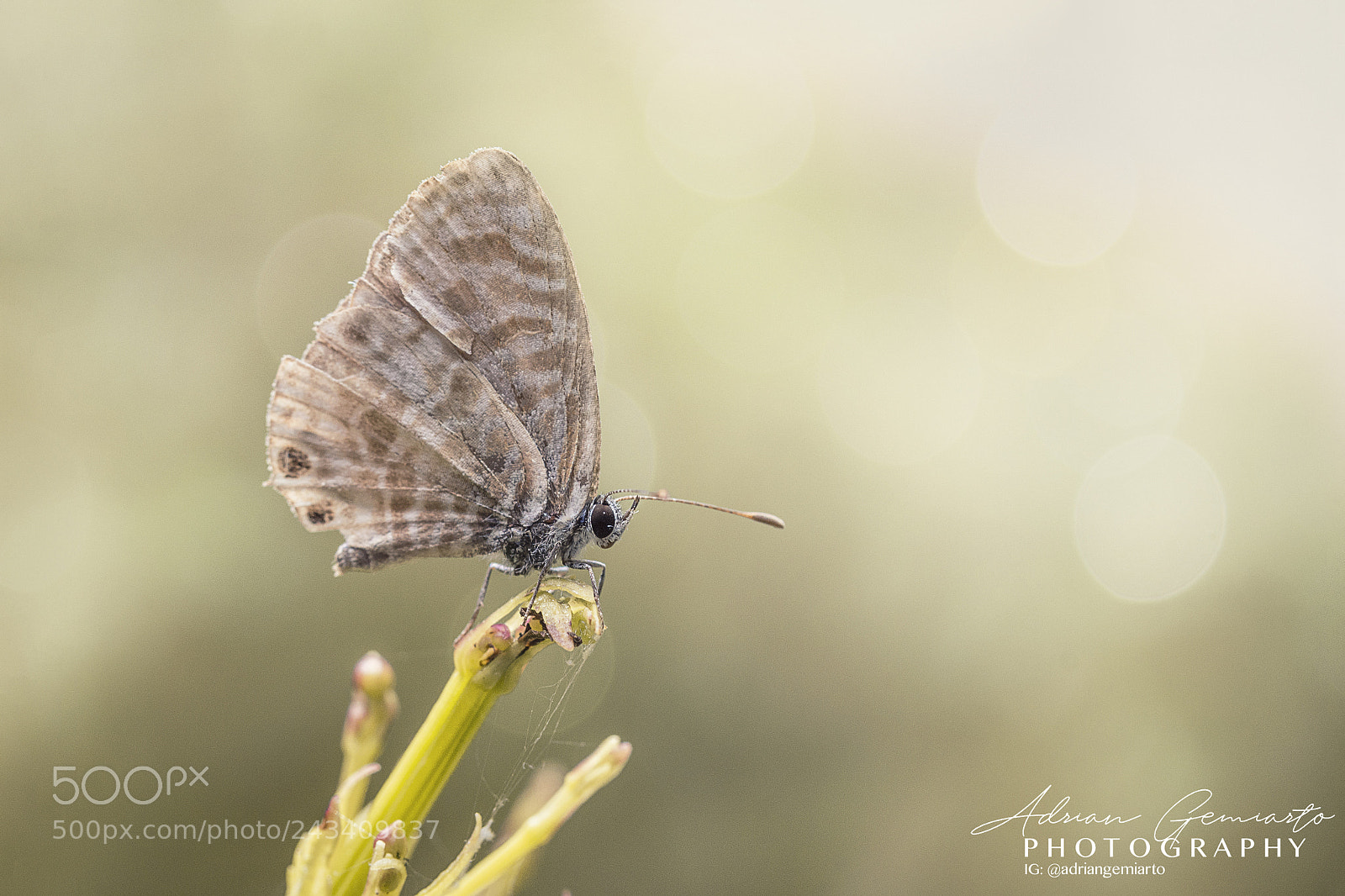 Nikon D7200 sample photo. Ready to fly photography