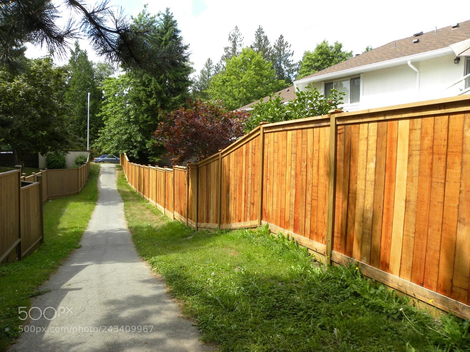 Nikon Coolpix P90 sample photo. Get best abbotsford strata photography