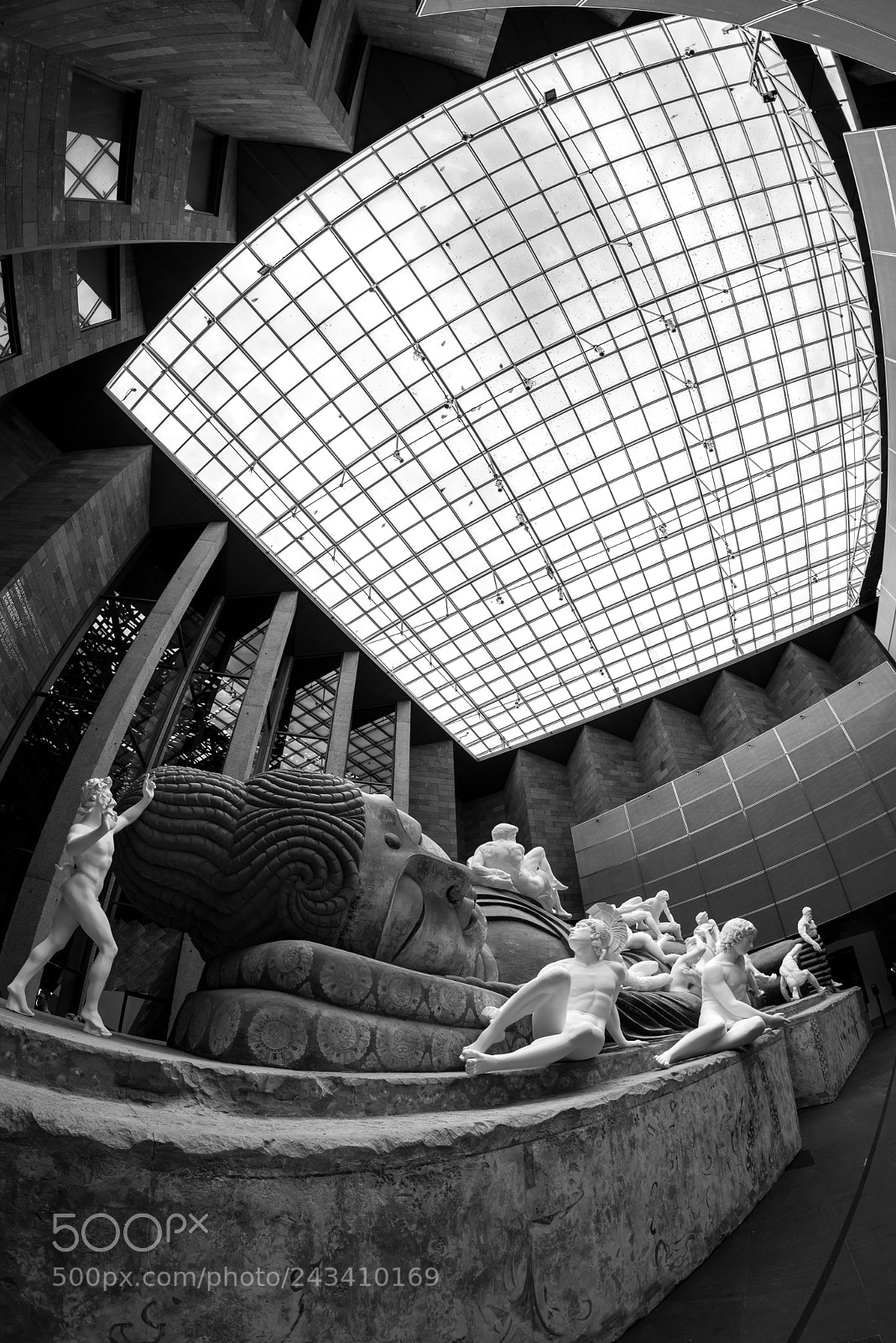 Nikon D610 sample photo. Looking up photography