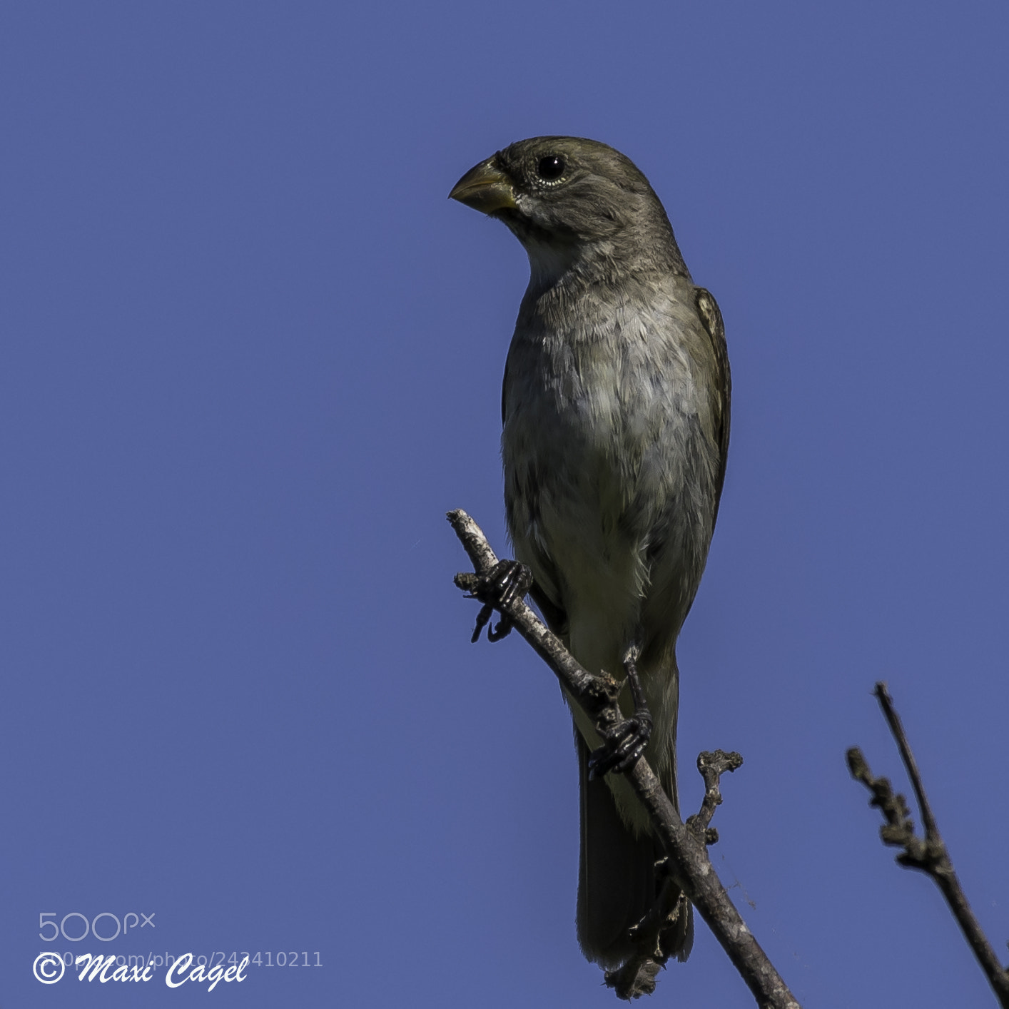 Nikon D500 sample photo. Side photography