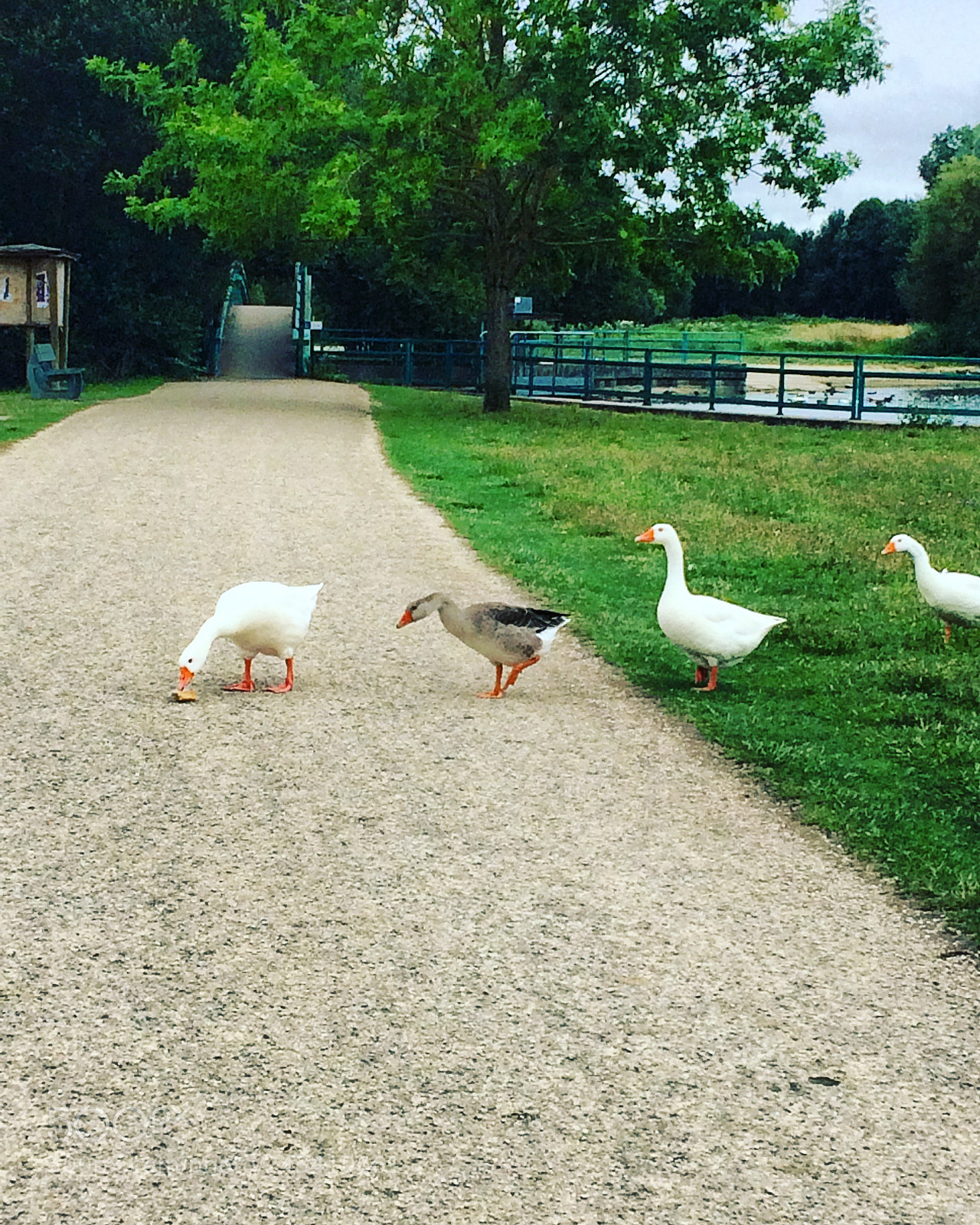 Apple iPhone 5s sample photo. Untitled photography