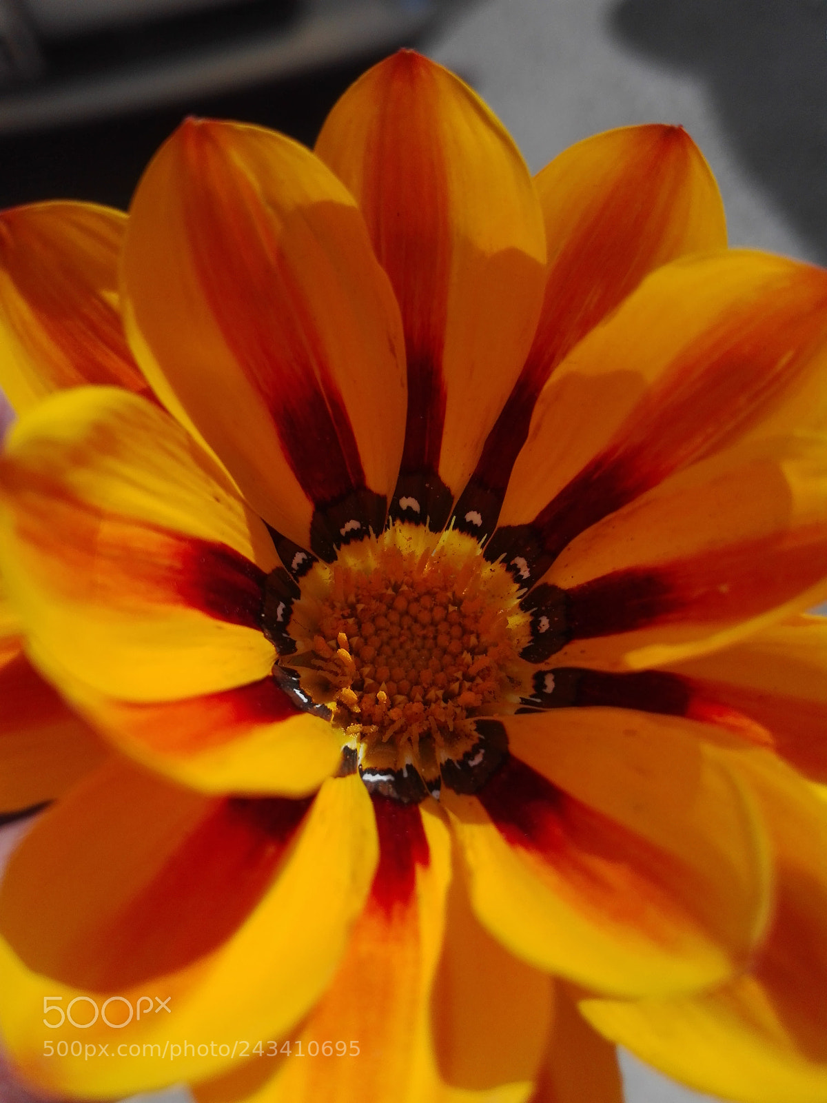 HUAWEI P8 Lite sample photo. Untitled photography