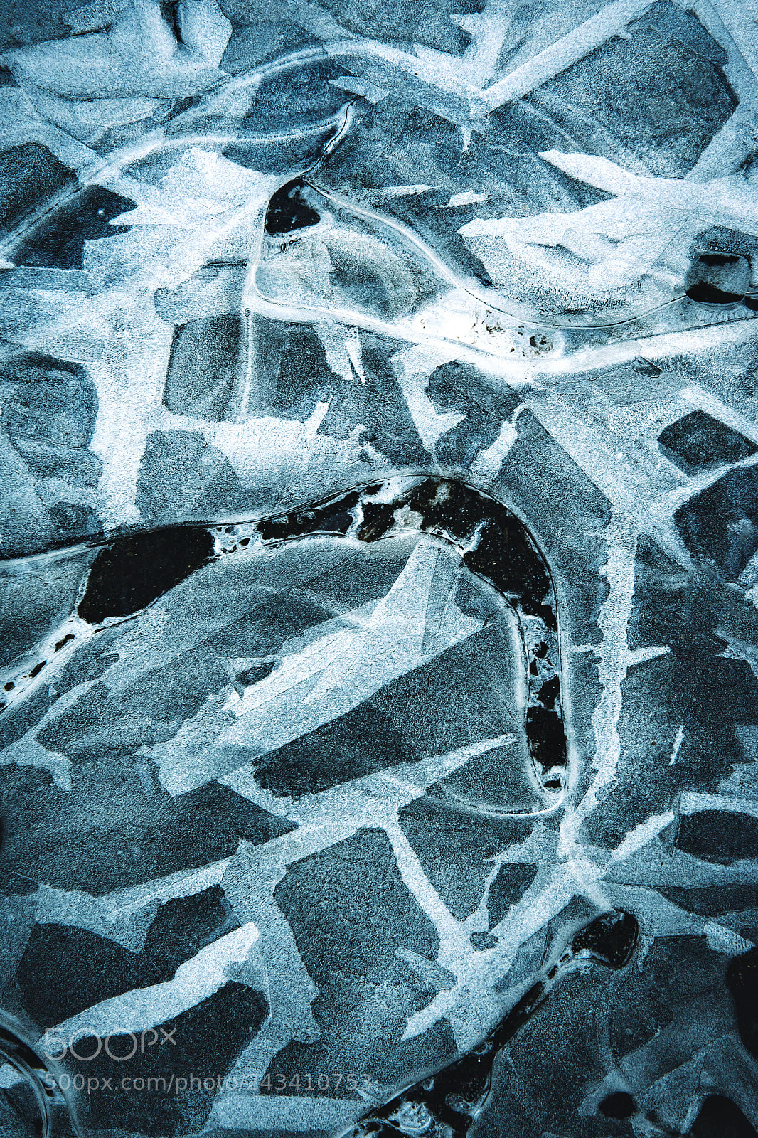Nikon D5500 sample photo. Beauty of the frozen photography