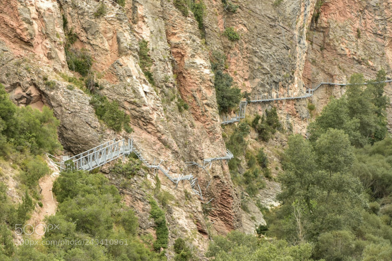 Nikon D7200 sample photo. Pasarelas rio vero photography