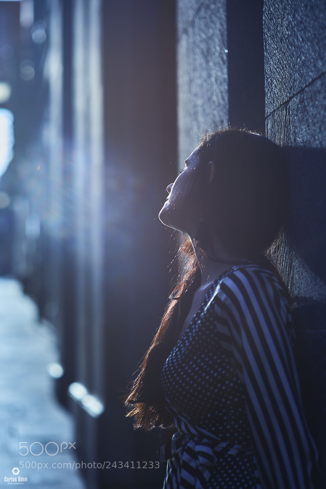 Nikon D810 sample photo. Blue photography