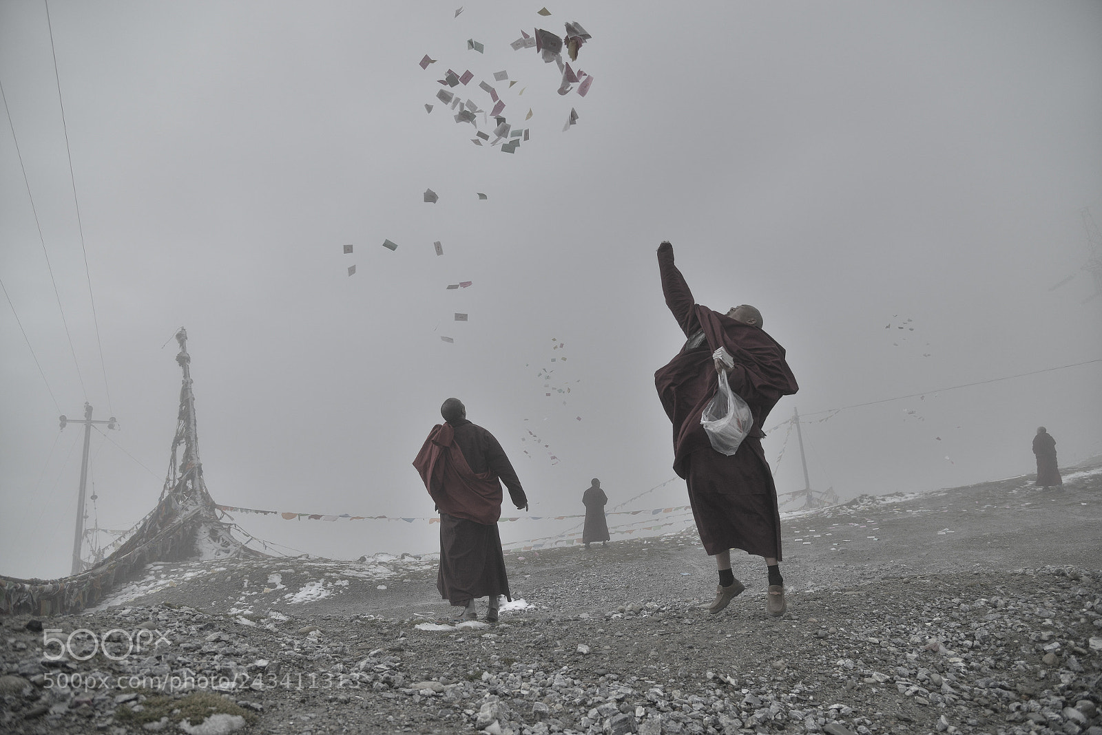 Nikon D800E sample photo. Untitled photography