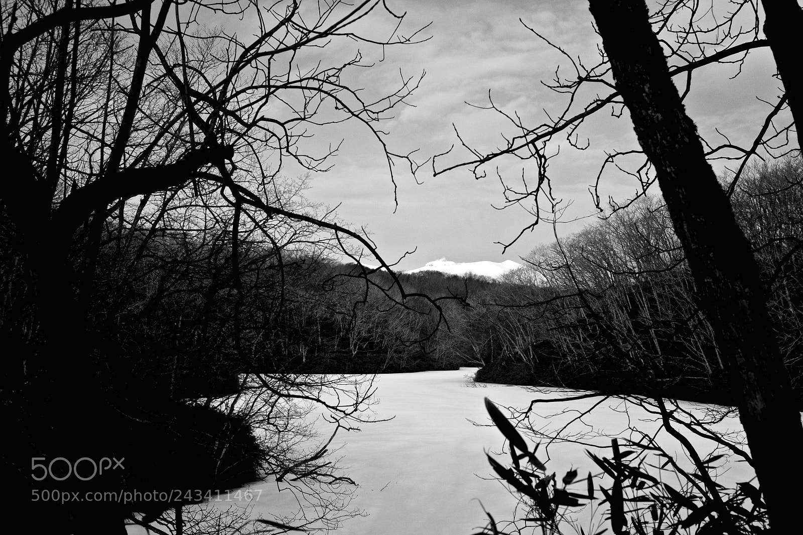 Nikon D700 sample photo. Frozen lake photography