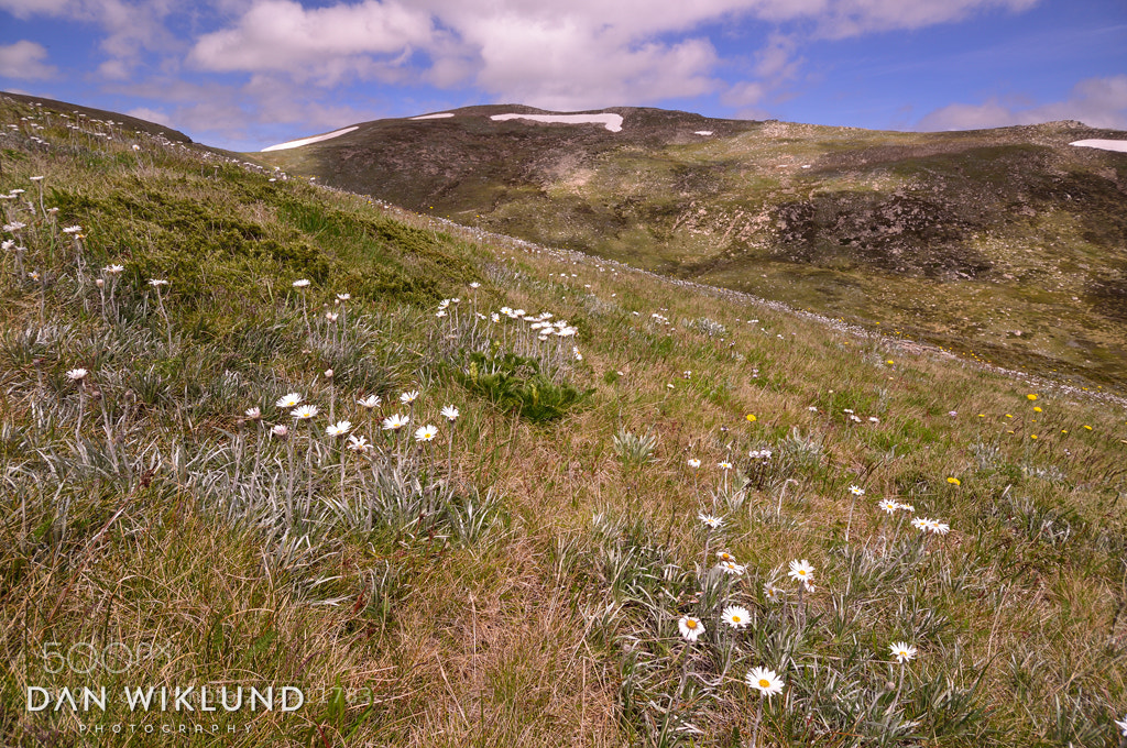 Nikon D800 sample photo. Mt kosciuszko photography