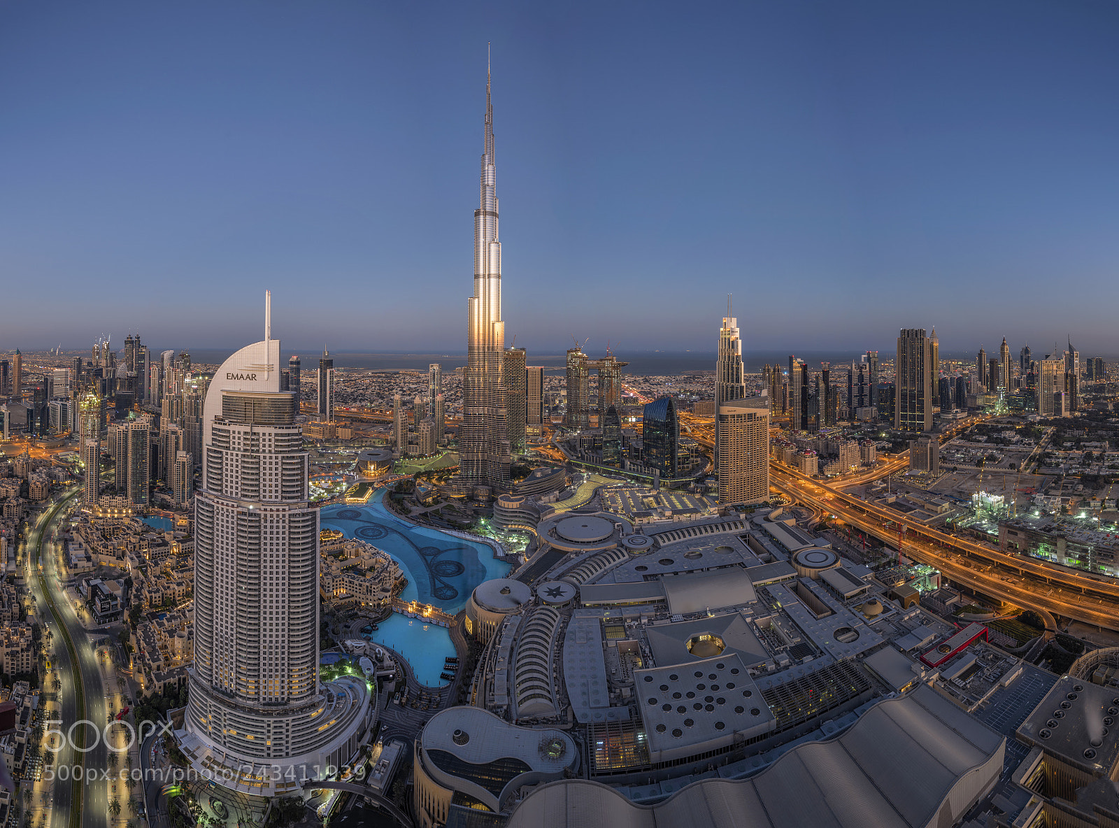 Nikon D850 sample photo. The world below photography