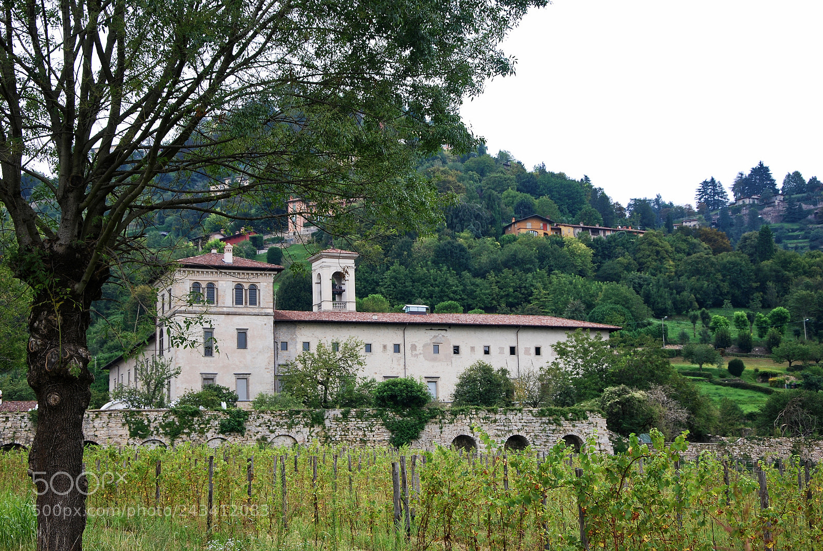 Nikon D60 sample photo. Abbey of astino photography