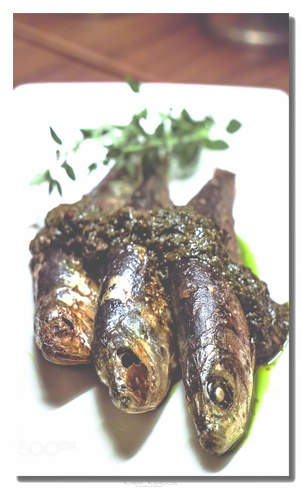 Panasonic Lumix DMC-GX8 sample photo. Sardine photography