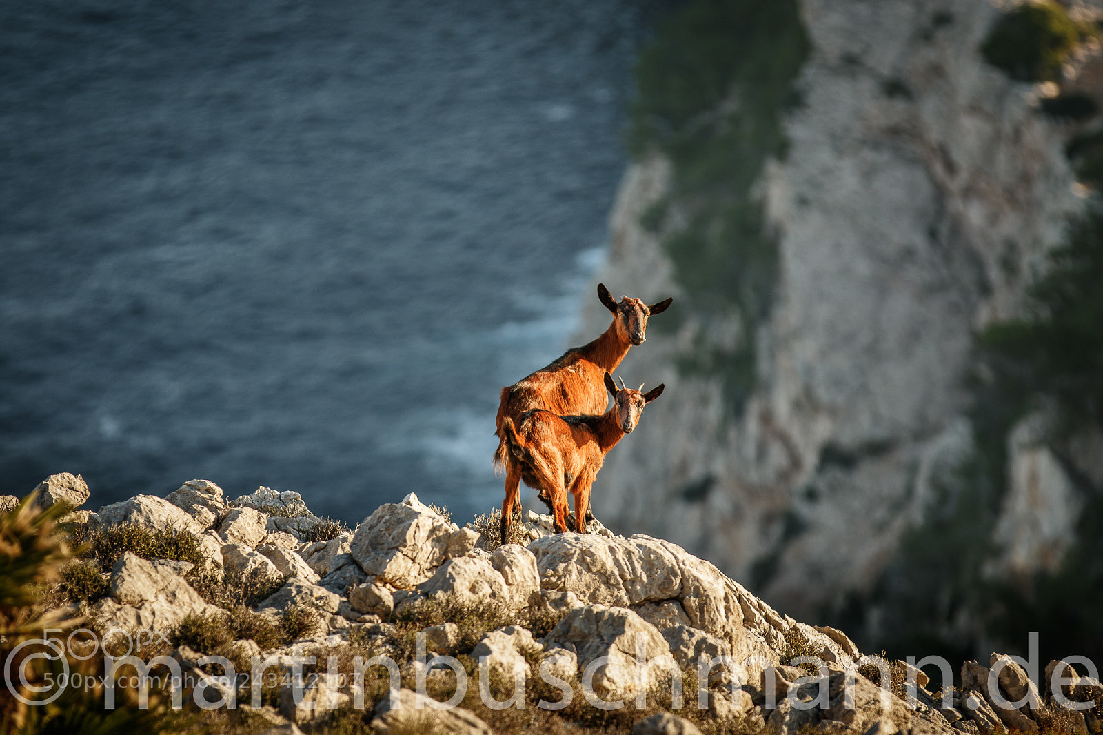 Canon EOS 7D Mark II sample photo. Mallorca photography