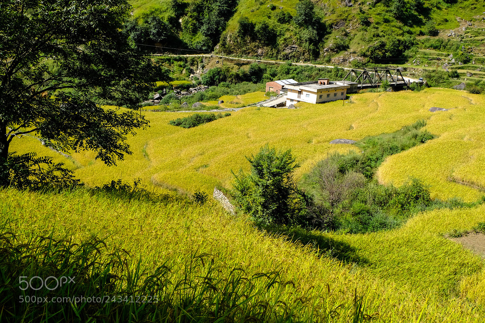 Fujifilm X-M1 sample photo. Inde garwhal nature photography