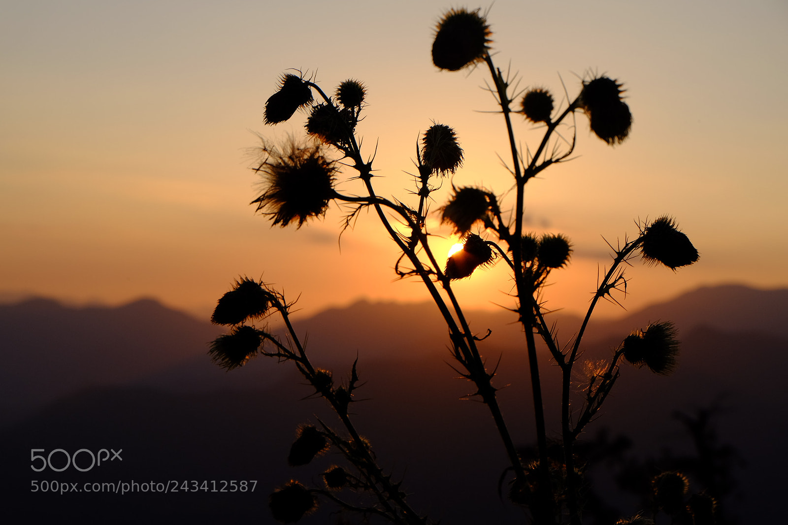 Fujifilm X-M1 sample photo. Inde garwhal nature photography