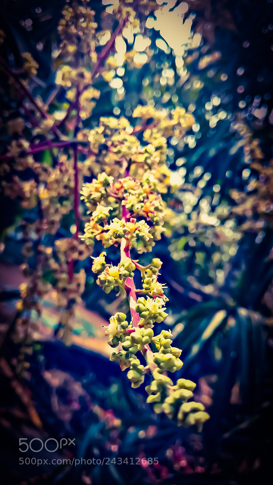 Motorola Moto X Play sample photo. Untitled photography