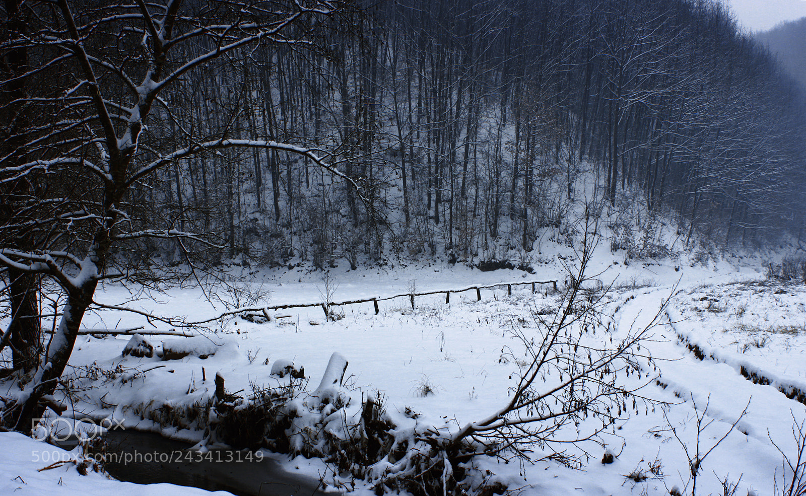 Canon EOS 550D (EOS Rebel T2i / EOS Kiss X4) sample photo. Winter photography