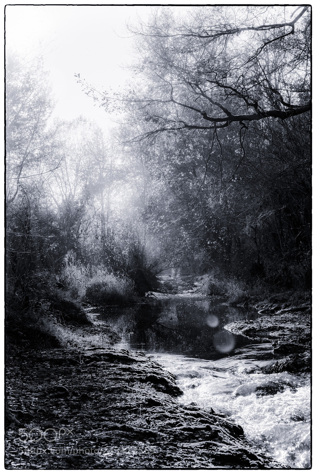 Nikon D7200 sample photo. End of eden 2 photography