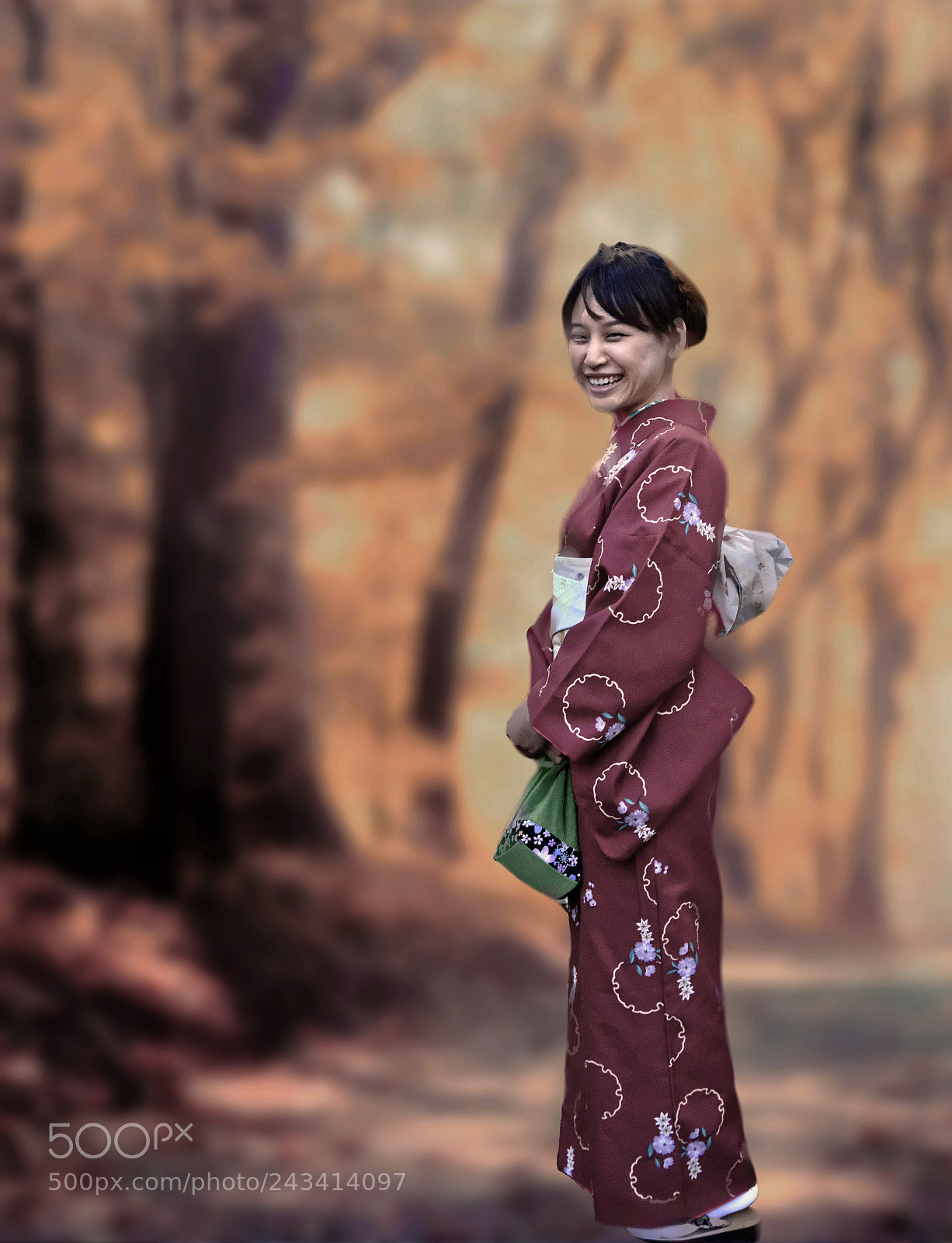 Nikon D7100 sample photo. Women of japan photography