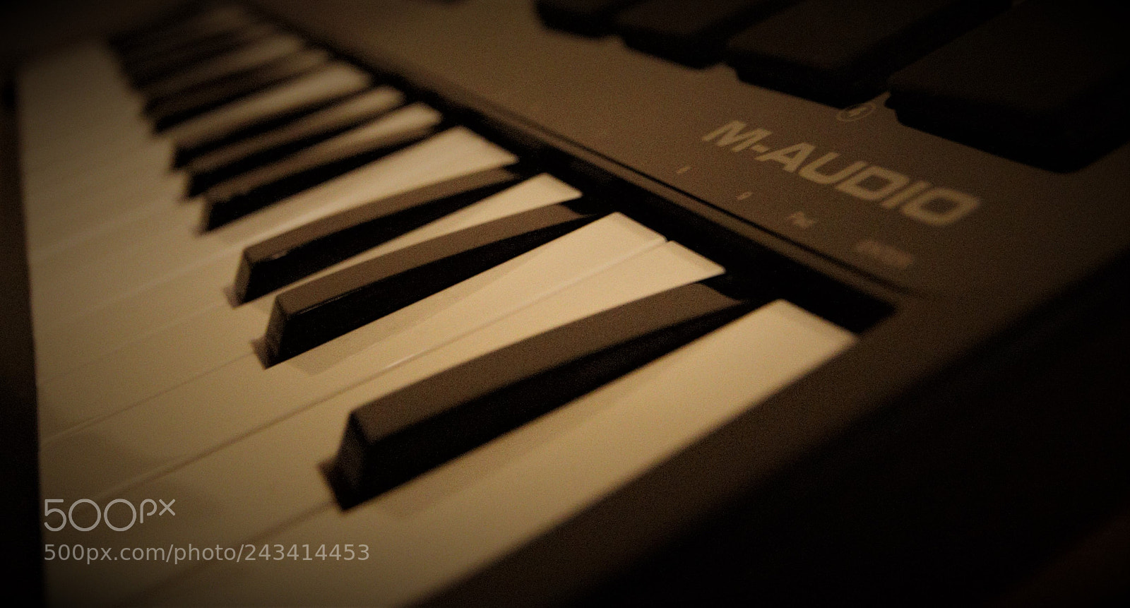 Canon EOS 550D (EOS Rebel T2i / EOS Kiss X4) sample photo. Img photography
