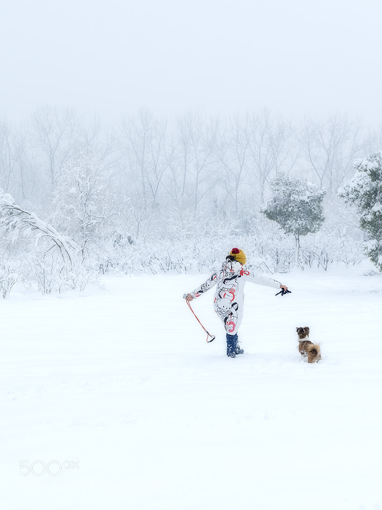 Nikon D800E sample photo. Snow,women and her dog photography