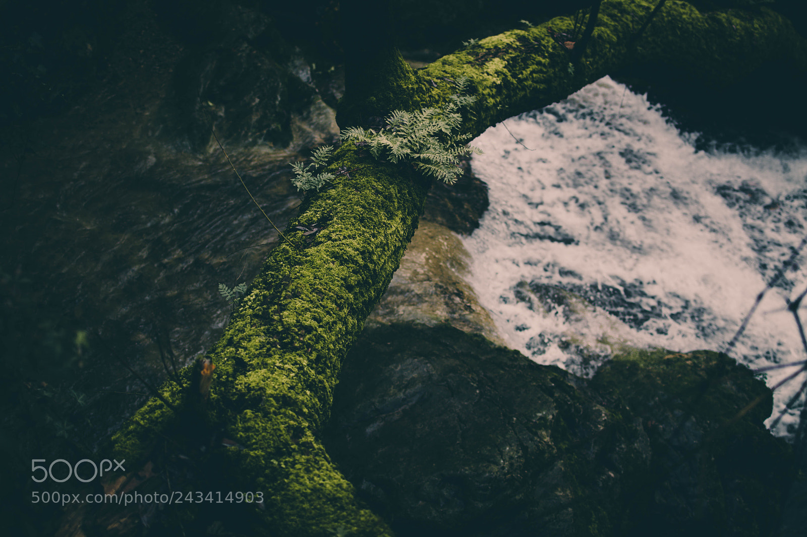 Nikon D7100 sample photo. Brezza verde photography