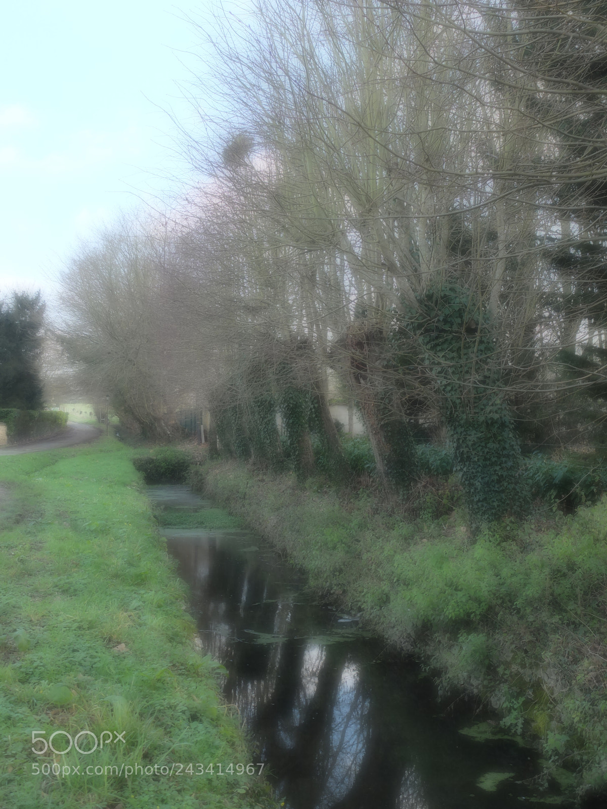 Fujifilm X20 sample photo. Blurr filter photography