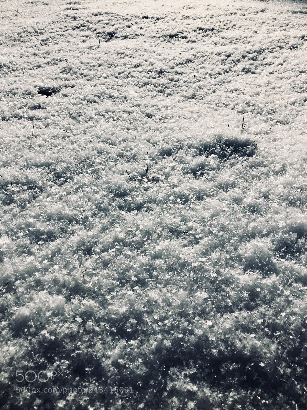 Apple iPhone 6s sample photo. As white as snow photography