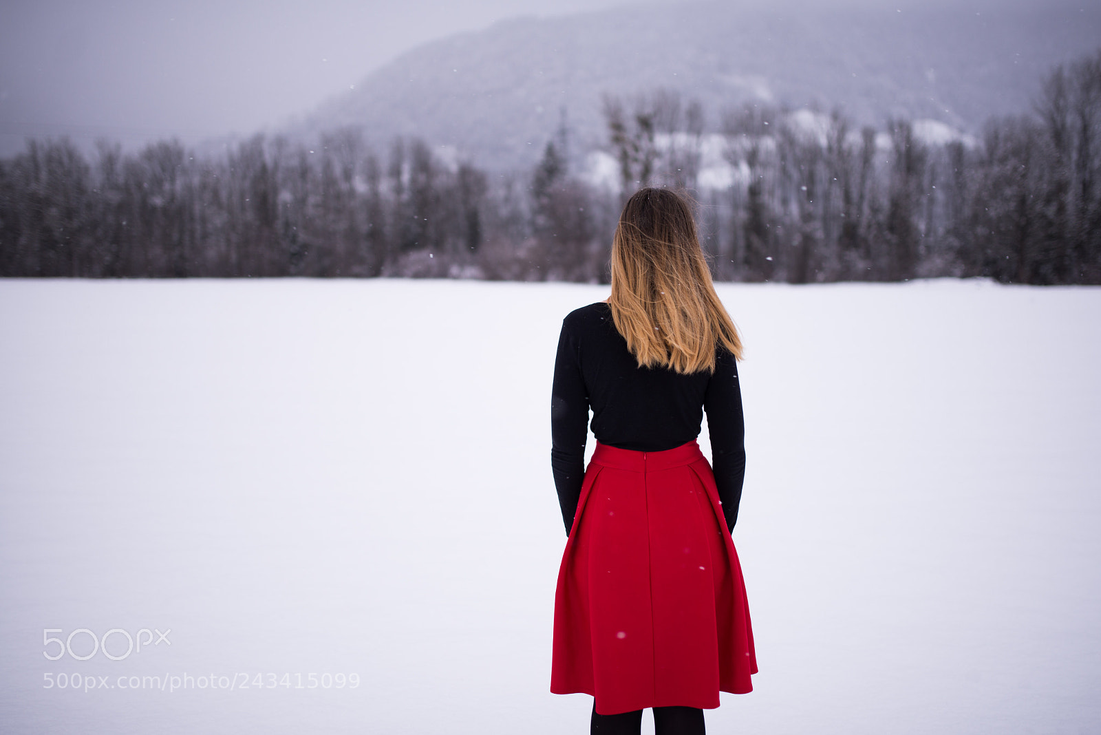 Nikon D610 sample photo. Red photography