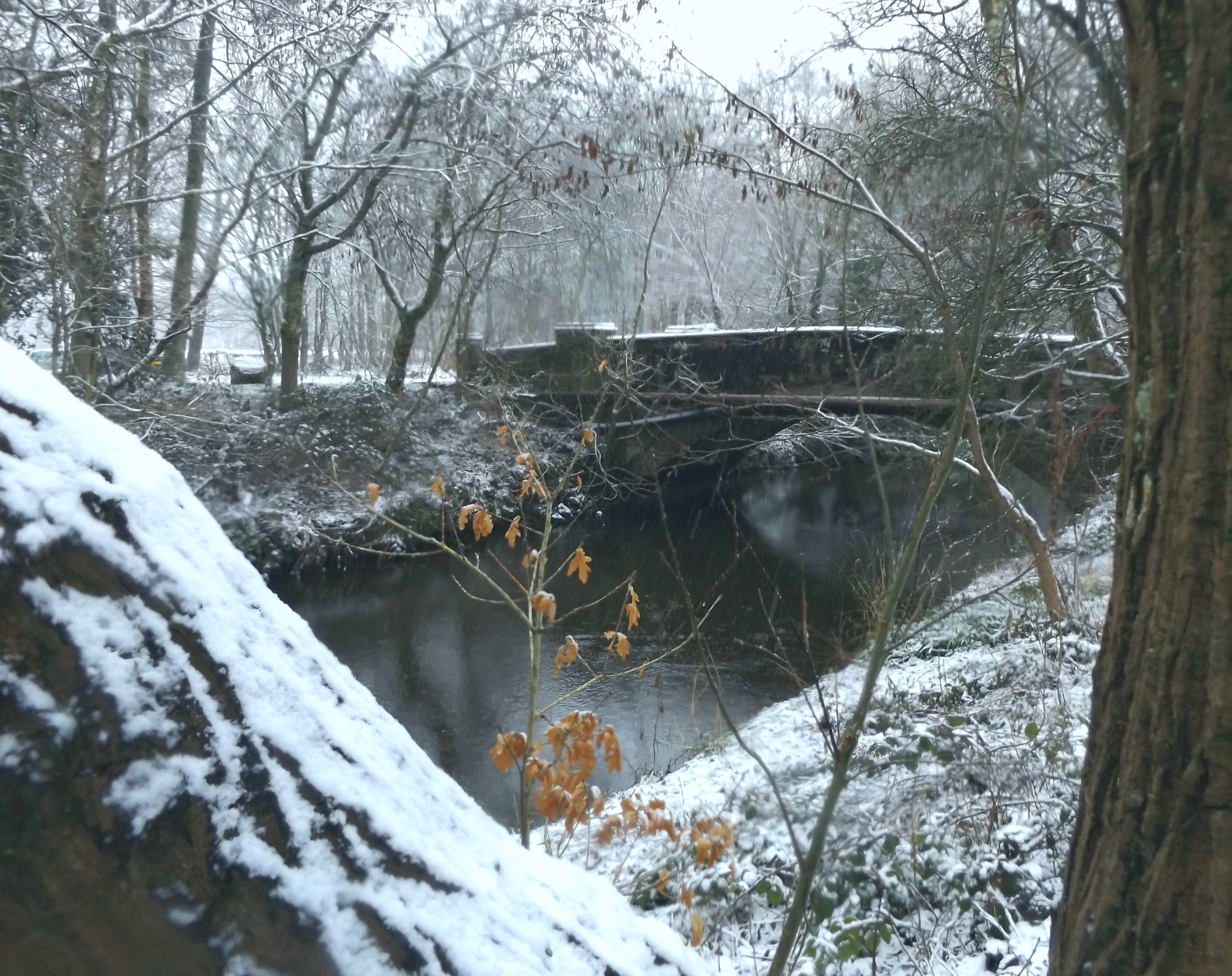 Fujifilm FinePix S8600 sample photo. That's all water under the bridge. photography