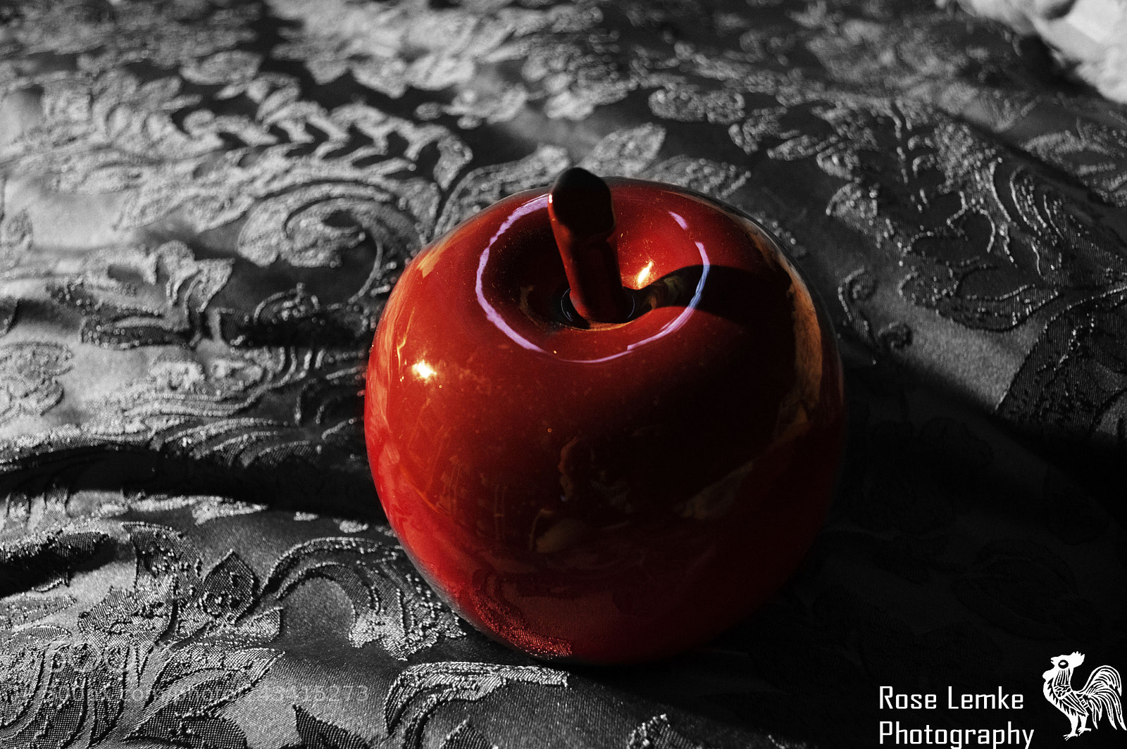 Nikon D3200 sample photo. Apple away photography