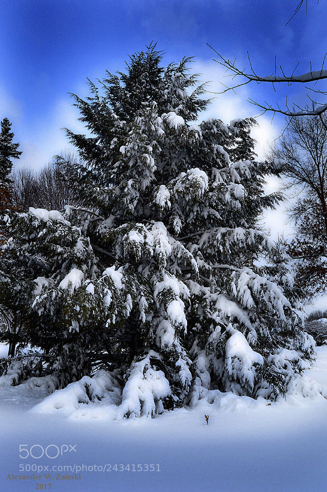 Nikon D3200 sample photo. Winter storm photography