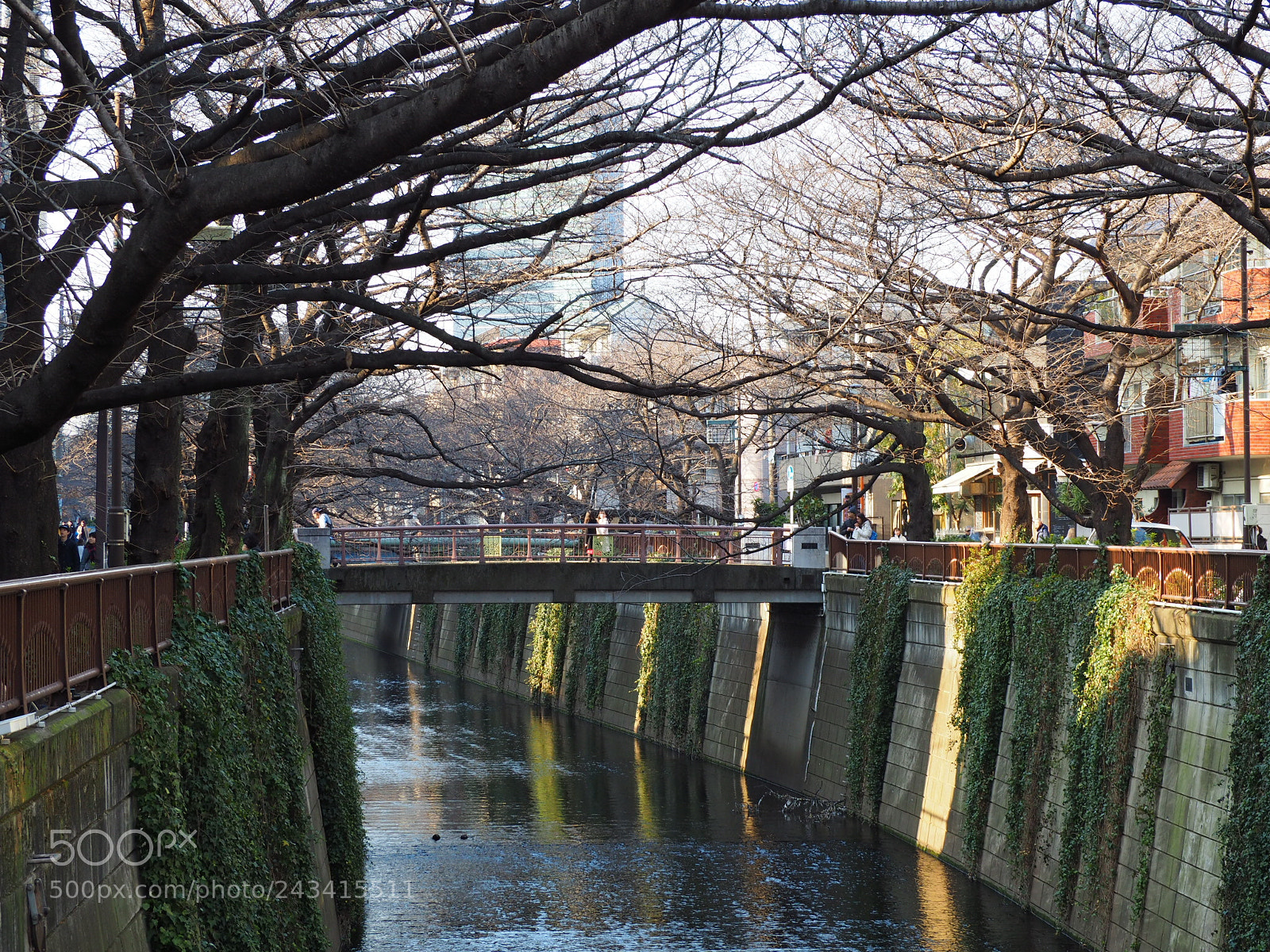 Olympus OM-D E-M10 II sample photo. Winter in tokyo photography