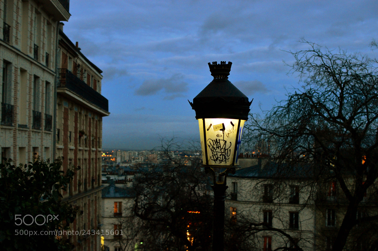 Nikon D3200 + Nikon AF-S DX Nikkor 35mm F1.8G sample photo. A postlamp in paris. photography