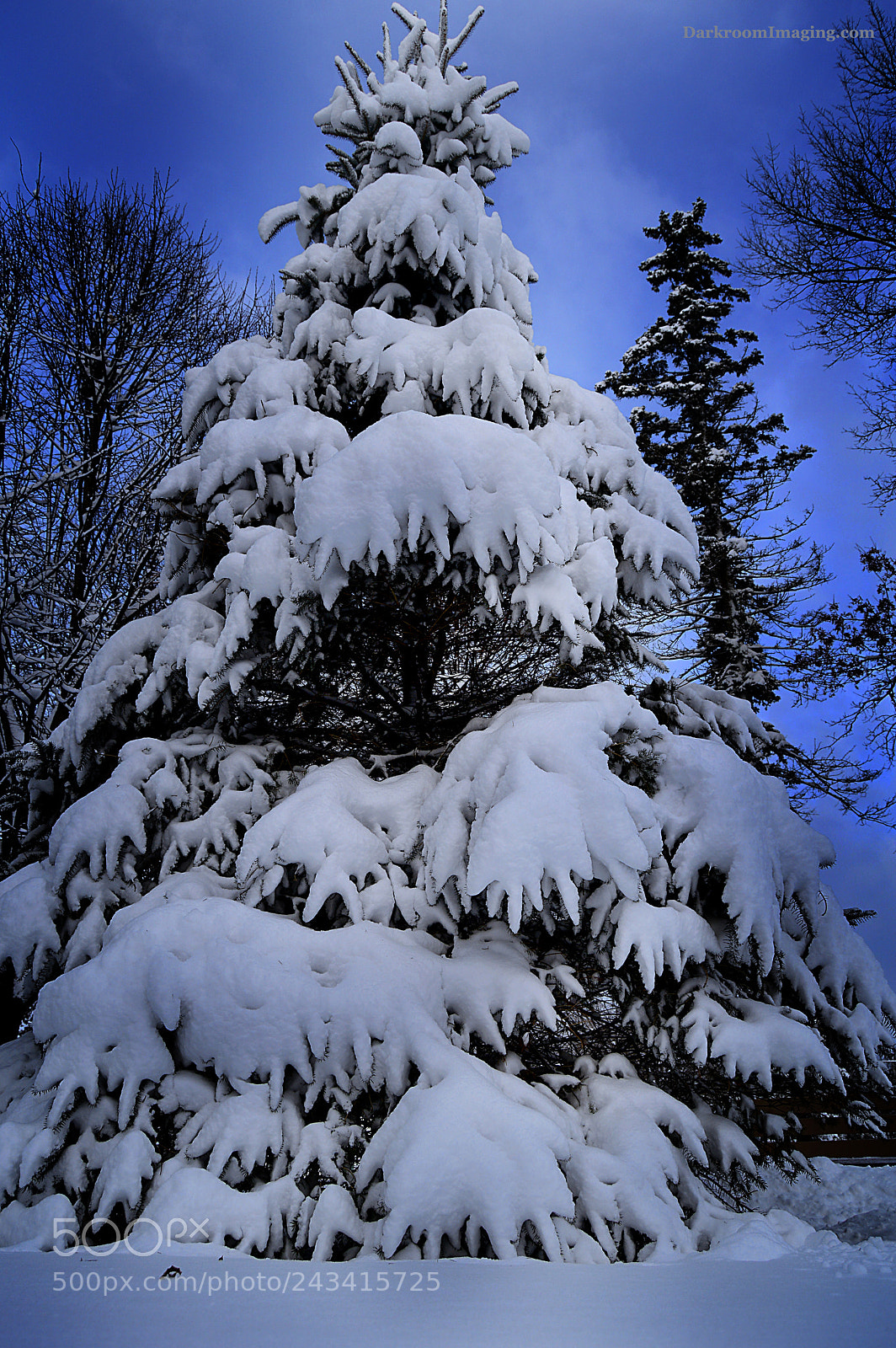 Nikon D3200 sample photo. Snowman photography
